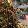 radisson hotel corning