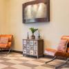 quality suites hickory south