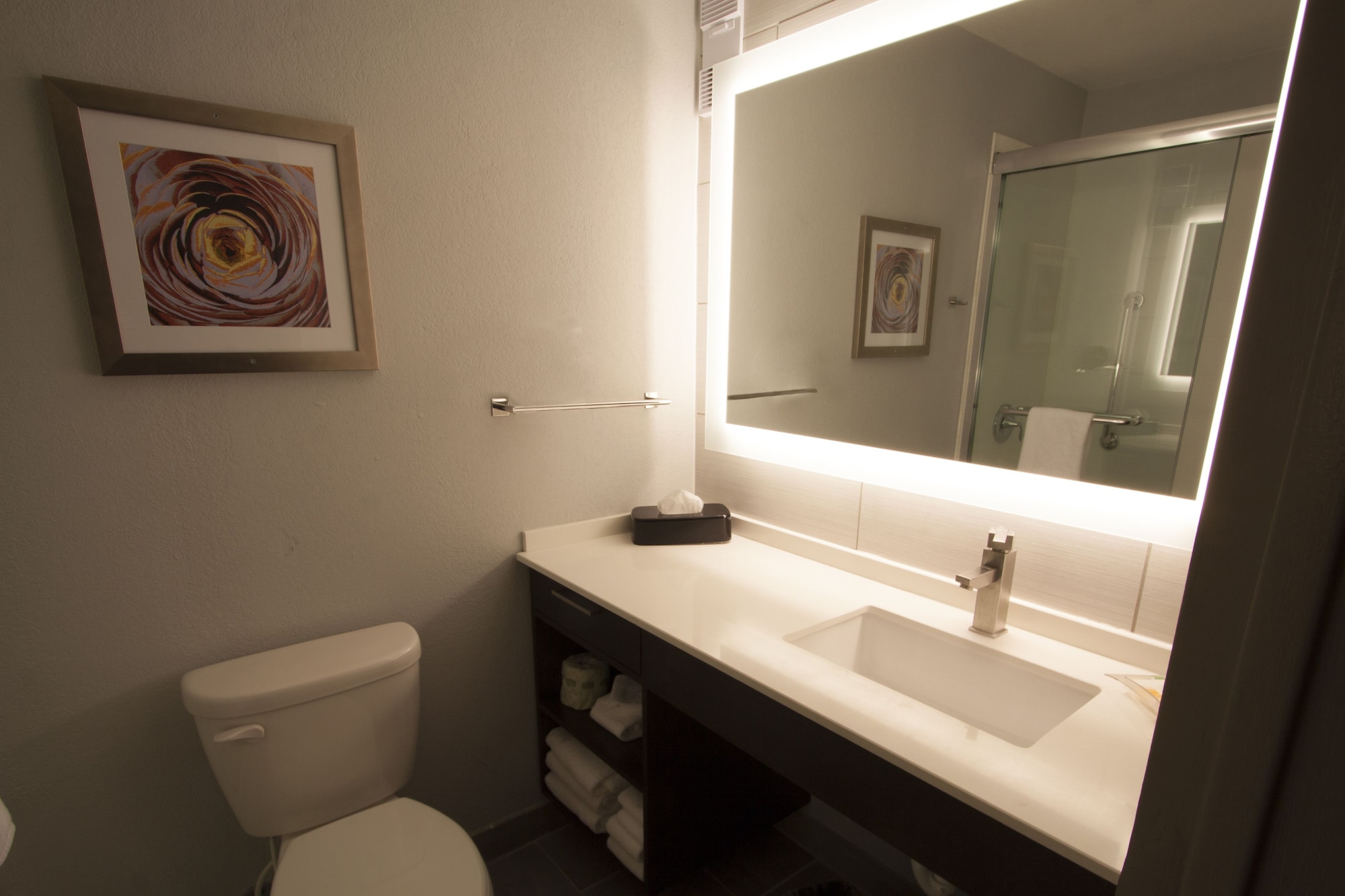 holiday inn alexandria downtown by ihg