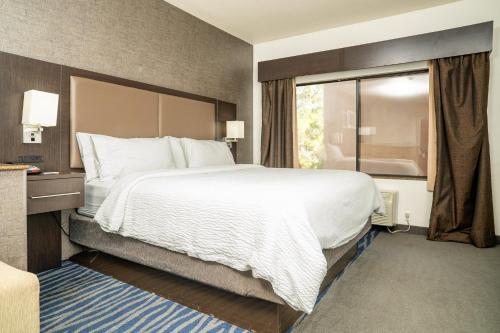 holiday inn express hotel and suites barstow outlet center by ihg
