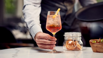 park plaza vondelpark