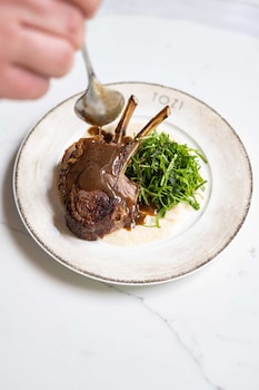 park plaza vondelpark