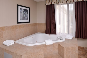 Holiday Inn Express & Suites North Lima By Ihg,Boardman>>Beaver Township,3 star