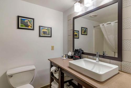 Comfort Inn & Suites Cartersville - Emerson Lake Point,In Cartersville,3 star