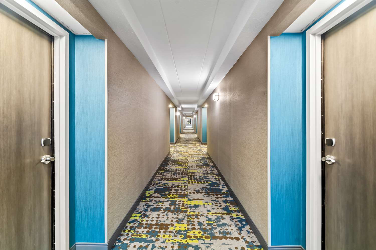 hampton inn lexington georgetown