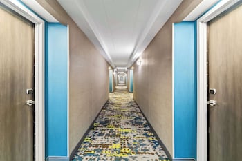 hampton inn lexington georgetown