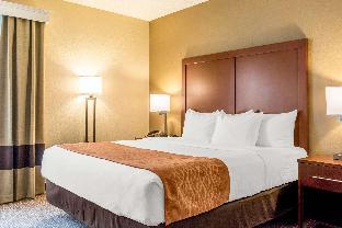 comfort inn