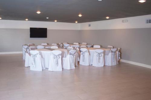 motel 6 palestine tx