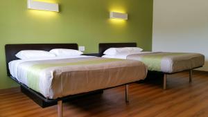 motel 6 palestine tx