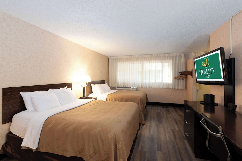 quality inn