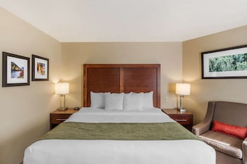 comfort inn university