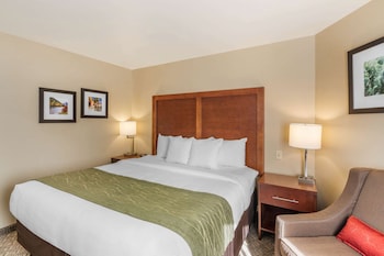 comfort inn university