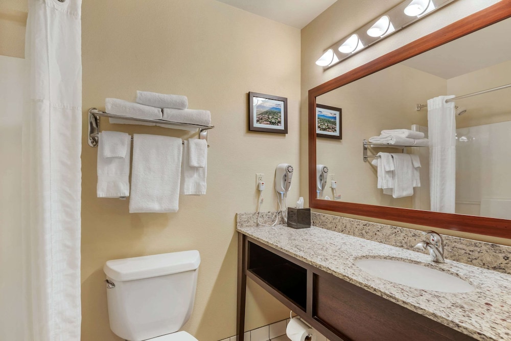 comfort inn university
