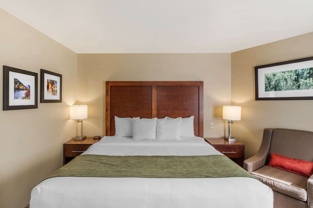 comfort inn university