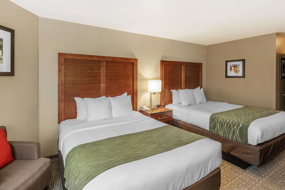 comfort inn university