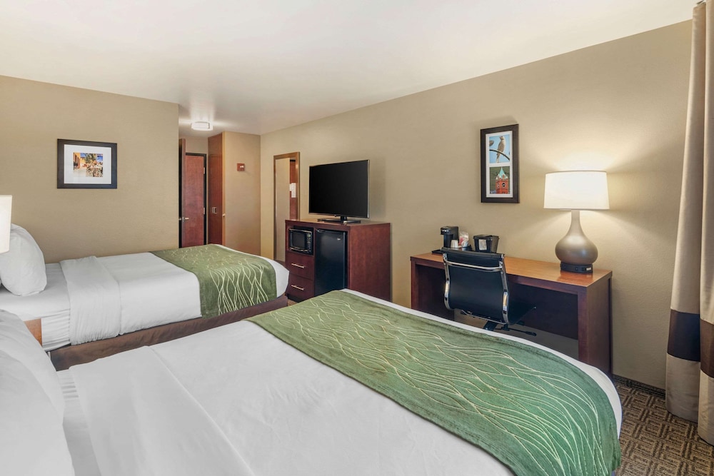 comfort inn university