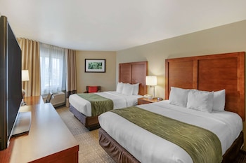 comfort inn university