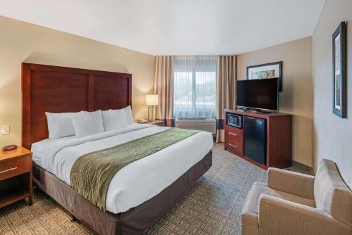 comfort inn university