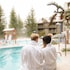 whistler