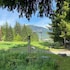 whistler