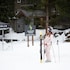 whistler