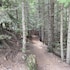 whistler