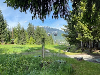 whistler