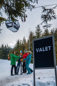 whistler