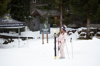 whistler