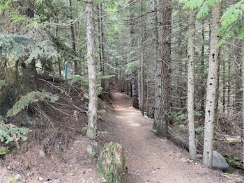whistler