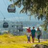 whistler