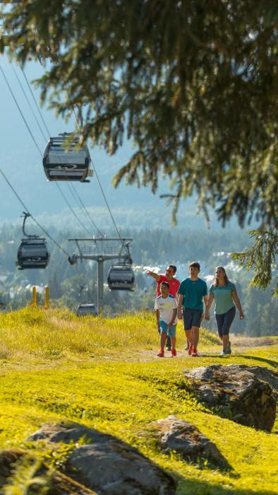 whistler