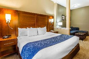 comfort suites mattoon