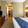 comfort suites mattoon