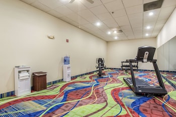 quality inn