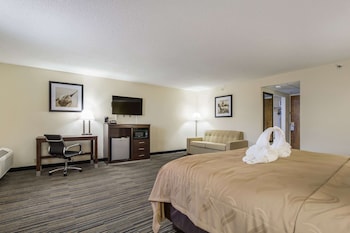 quality inn