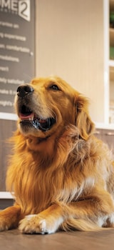 Home2 Suites By Hilton Goldsboro,Wayne County>>Goldsboro,3 star