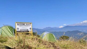 moonlight homestay