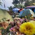pokhara