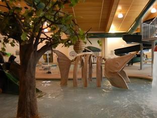 country inn and suites by radisson prairie du chien