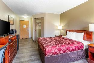 econo lodge inn and suites dickson