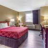 econo lodge inn and suites dickson