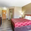 econo lodge inn and suites dickson