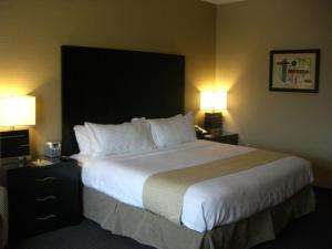 Holiday Inn Hotel And Suites St. Paul Ne Lake Elmo,Minneapolis - St. Paul>>Lake Elmo,3 star