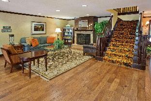 comfort inn and suites rome south