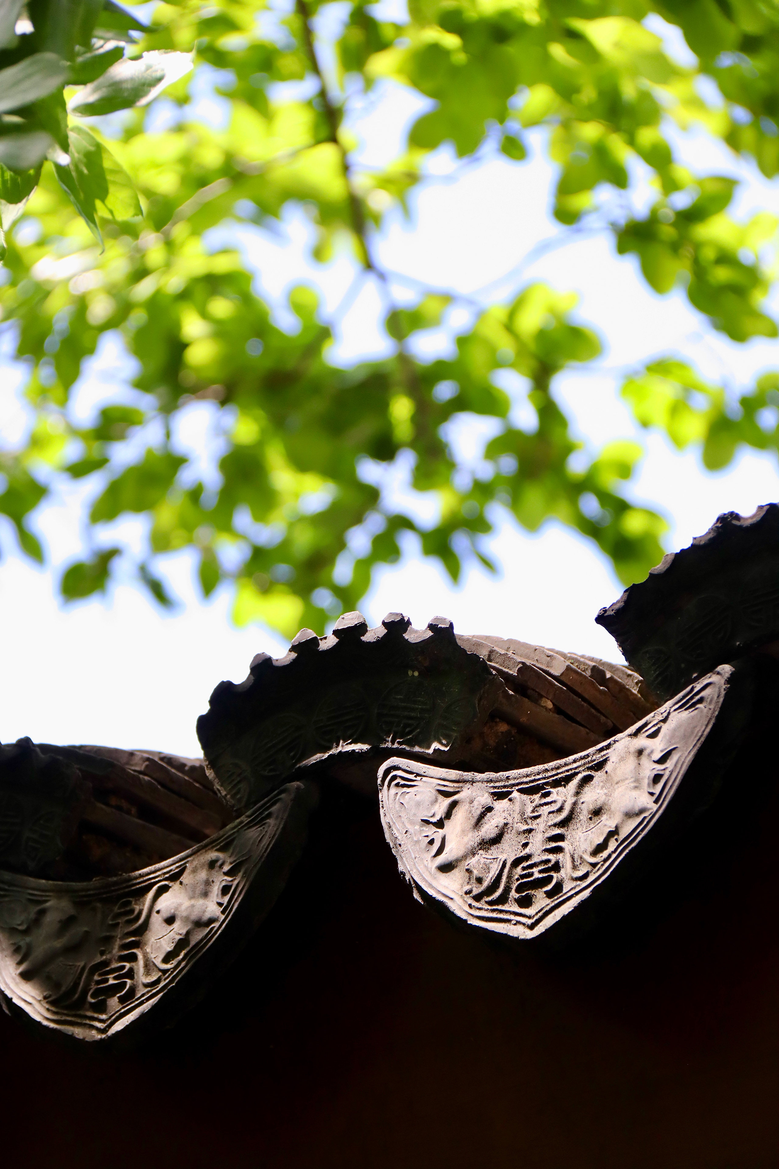 kimpton suzhou bamboo grove by ihg