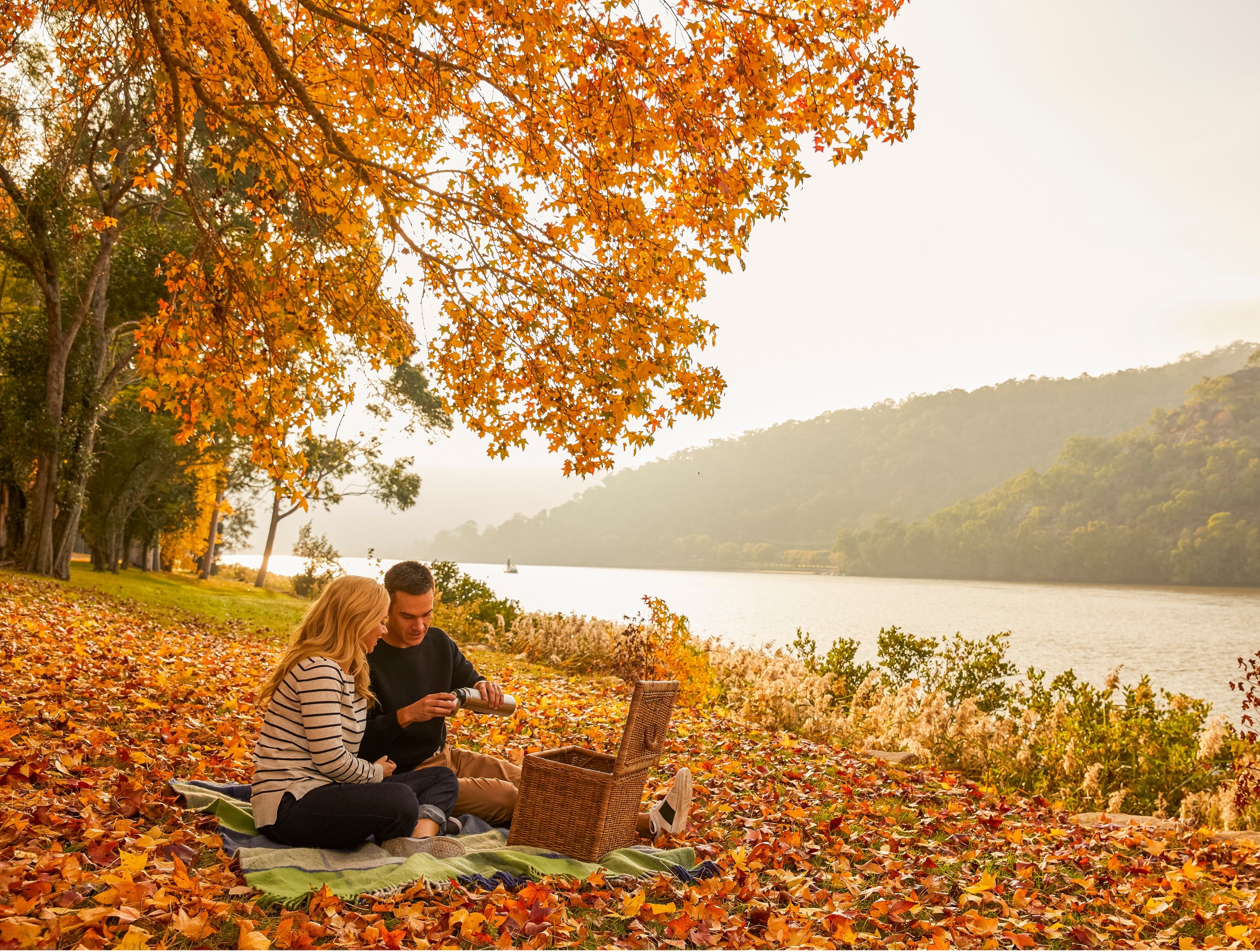 crowne plaza hawkesbury valley by ihg