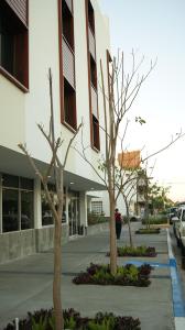 los mochis