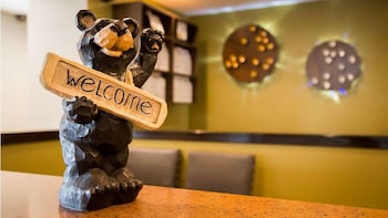 white pines inn and suites