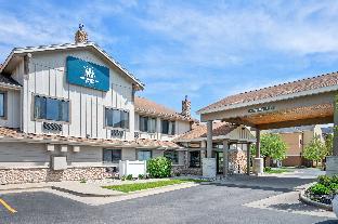 white pines inn and suites